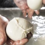 ナポリ直送水牛のモッツァレラチーズ